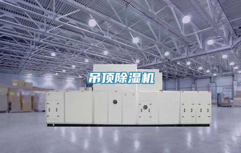 吊顶抖音成人版下载