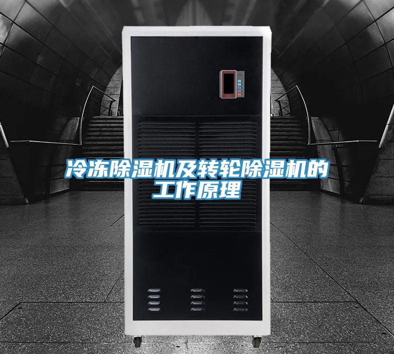 冷冻抖音成人版下载及转轮抖音成人版下载的工作原理