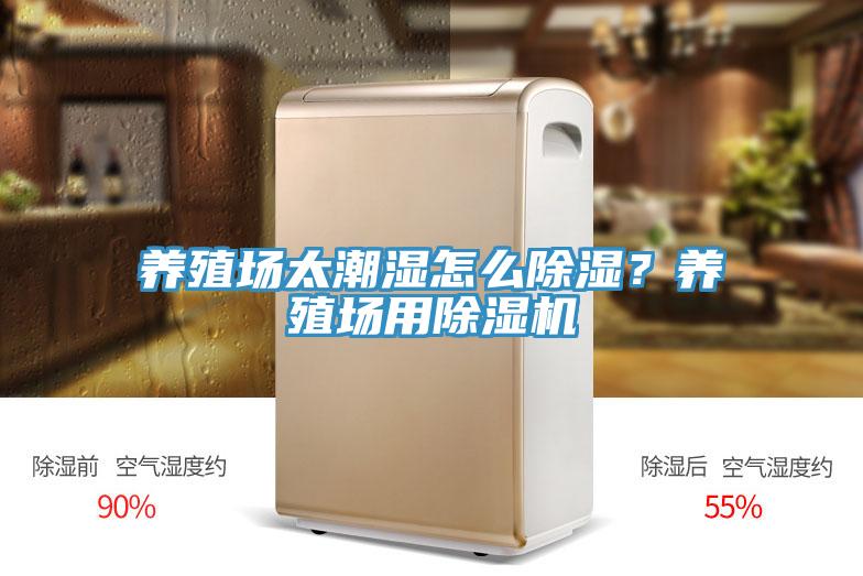 养殖场太潮湿怎么除湿？养殖场用抖音成人版下载