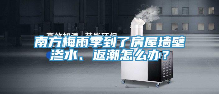 南方梅雨季到了房屋墙壁渗水、返潮怎么办？