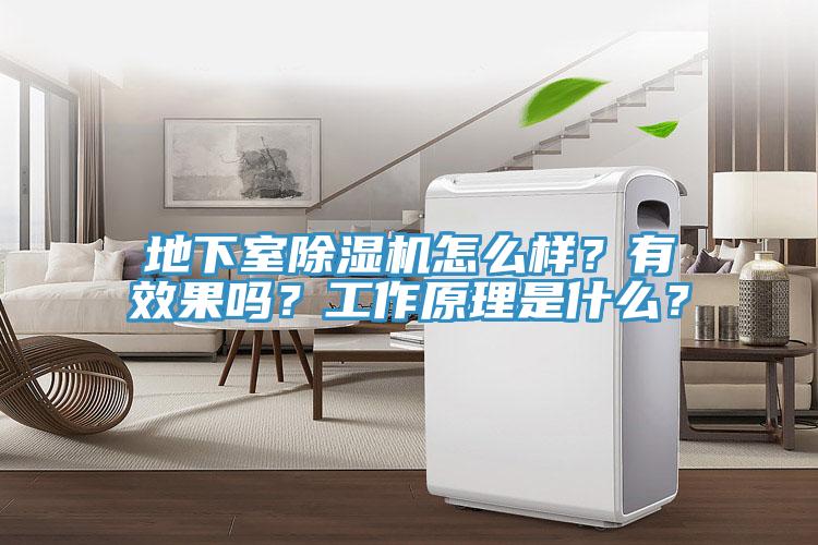 地下室抖音成人版下载怎么样？有效果吗？工作原理是什么？