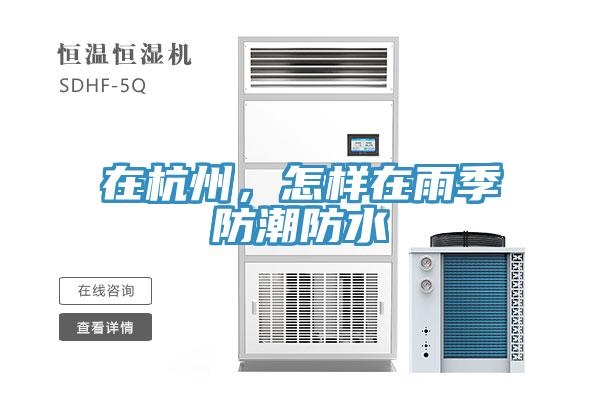 在杭州，怎样在雨季防潮防水