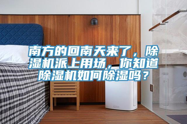 南方的回南天来了，抖音成人版下载派上用场，你知道抖音成人版下载如何除湿吗？