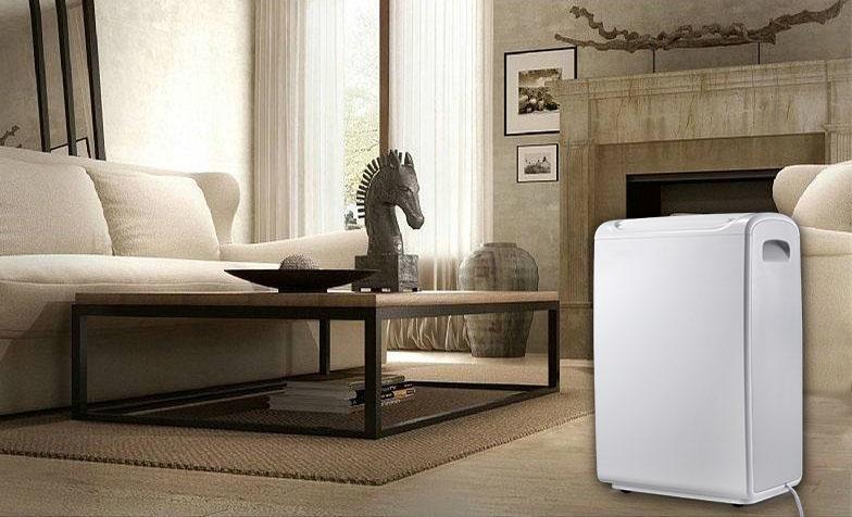 品牌的畸形成长：速成与陨落