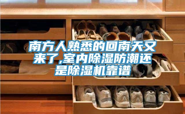 南方人熟悉的回南天又来了,室内除湿防潮还是抖音成人版下载靠谱