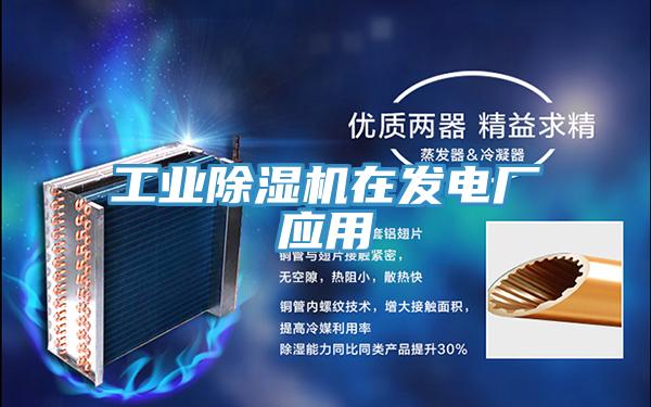 工业抖音成人版下载在发电厂应用