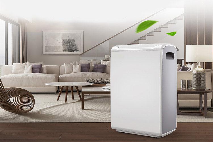 去甲醛用新风抖音成人版下载