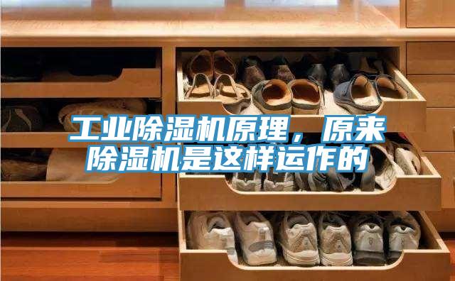 工业抖音成人版下载原理，原来抖音成人版下载是这样运作的