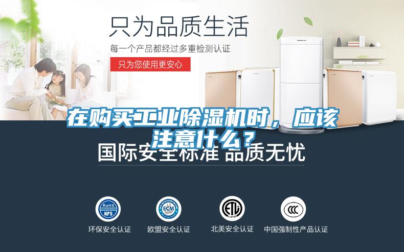 在购买工业抖音成人版下载时，应该注意什么？