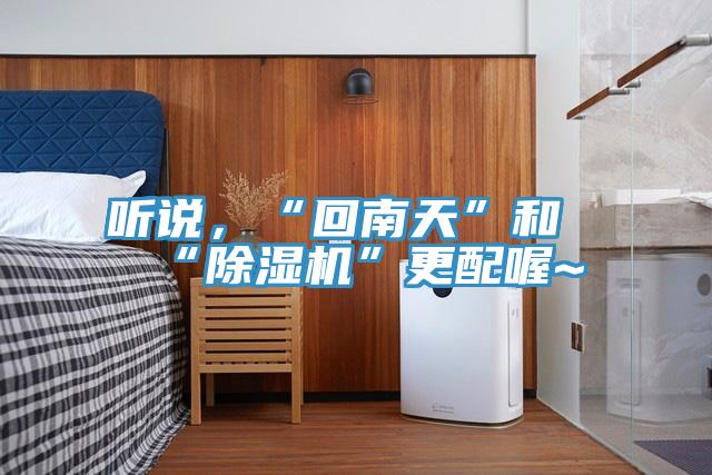 听说，“回南天”和“抖音成人版下载”更配喔~