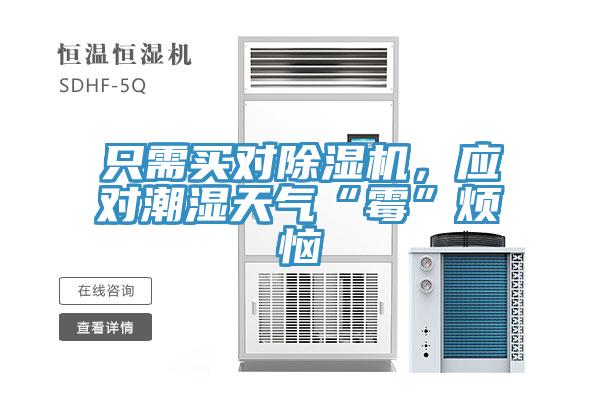 只需买对抖音成人版下载，应对潮湿天气“霉”烦恼