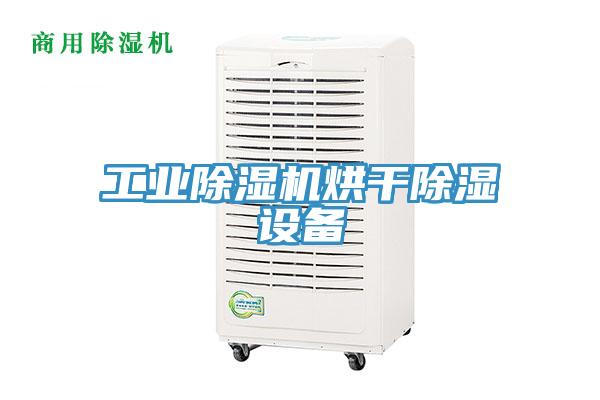 工业抖音成人版下载烘干除湿设备