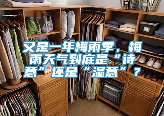 又是一年梅雨季，梅雨天气到底是“诗意”还是“湿意”？