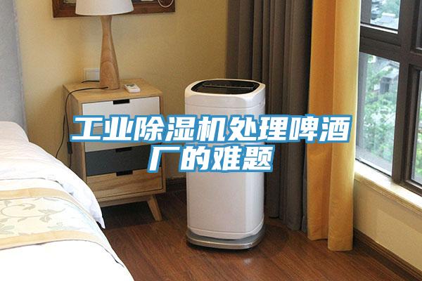 工业抖音成人版下载处理啤酒厂的难题