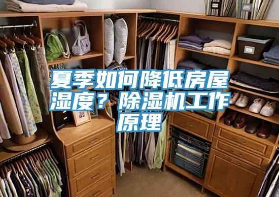 夏季如何降低房屋湿度？抖音成人版下载工作原理