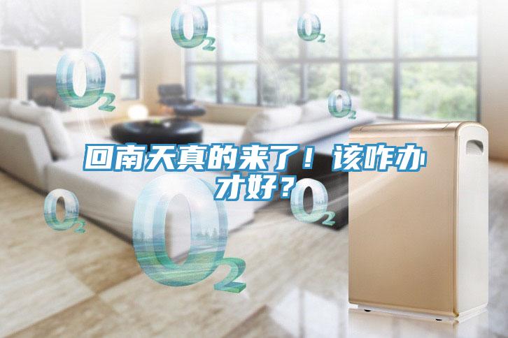 回南天真的来了！该咋办才好？