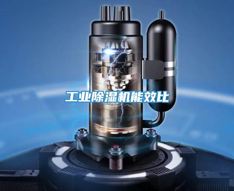 工业抖音成人版下载能效比