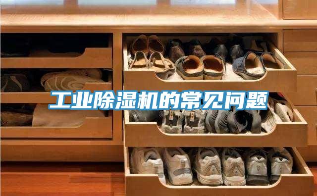 工业抖音成人版下载的常见问题