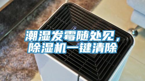 潮湿发霉随处见，抖音成人版下载一键清除