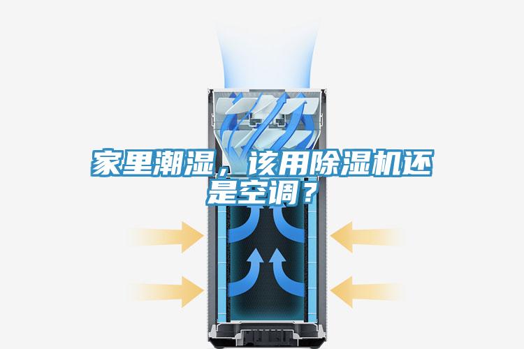 家里潮湿，该用抖音成人版下载还是空调？