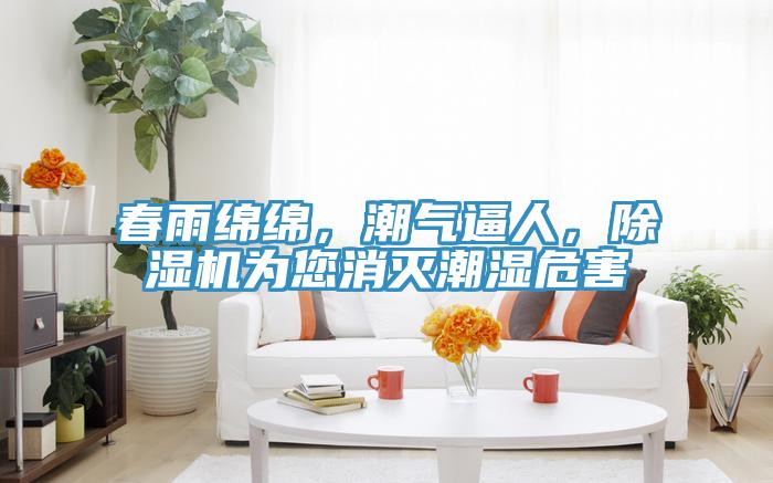 春雨绵绵，潮气逼人，抖音成人版下载为您消灭潮湿危害