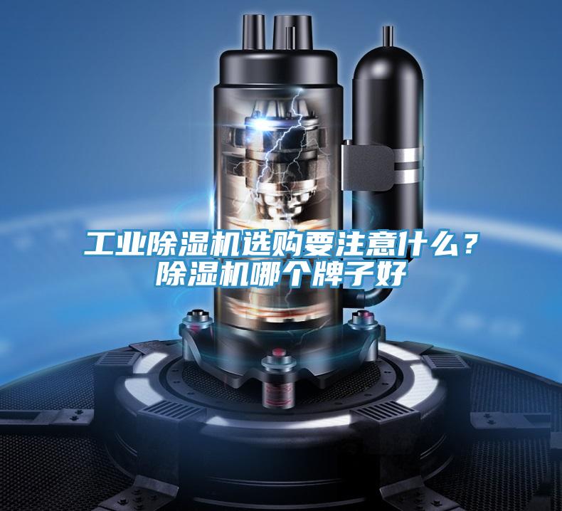 工业抖音成人版下载选购要注意什么？抖音成人版下载哪个牌子好