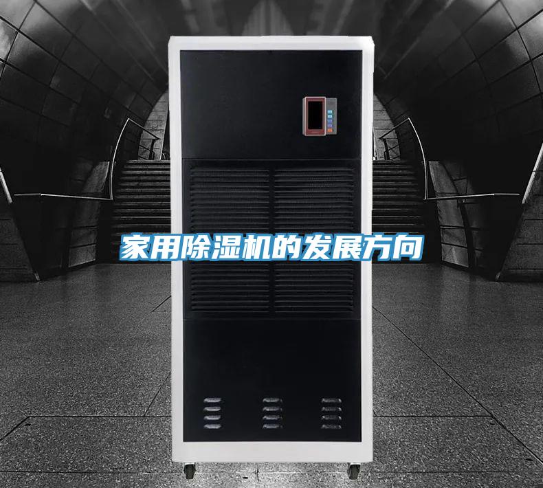 家用抖音成人版下载的发展方向