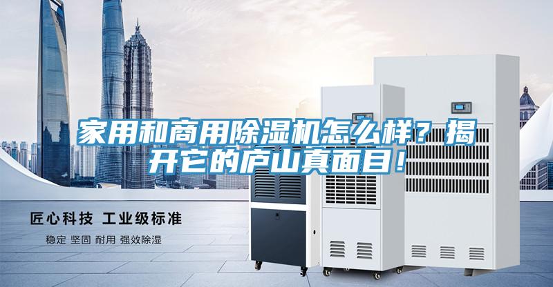 家用和商用抖音成人版下载怎么样？揭开它的庐山真面目！