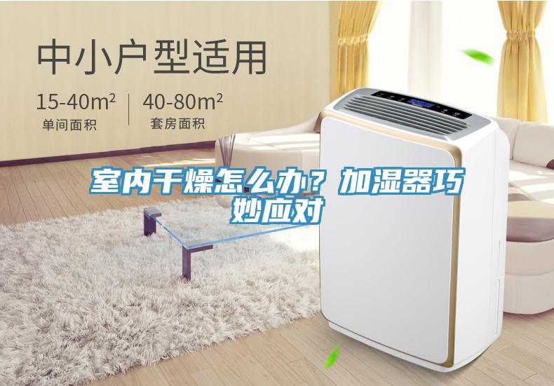 室内干燥怎么办？加湿器巧妙应对