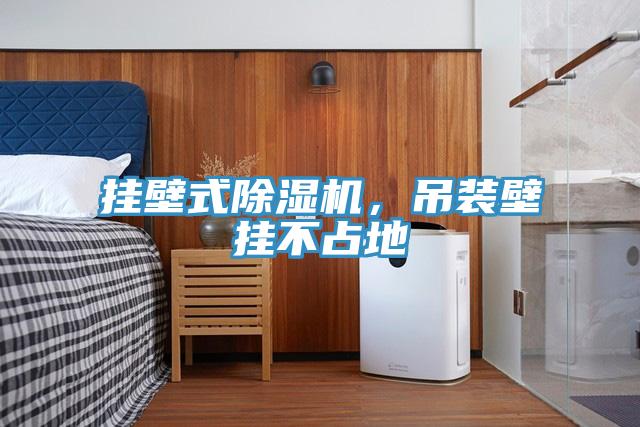 挂壁式抖音成人版下载，吊装壁挂不占地