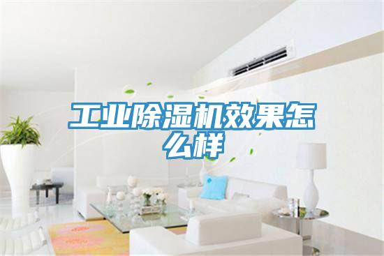 工业抖音成人版下载效果怎么样