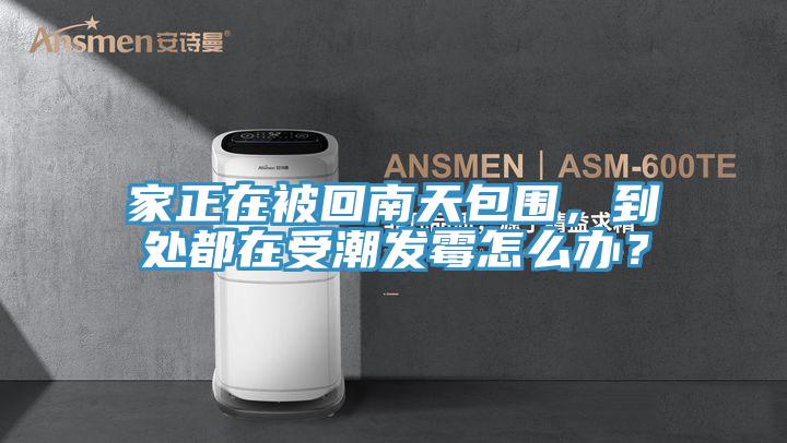 家正在被回南天包围，到处都在受潮发霉怎么办？