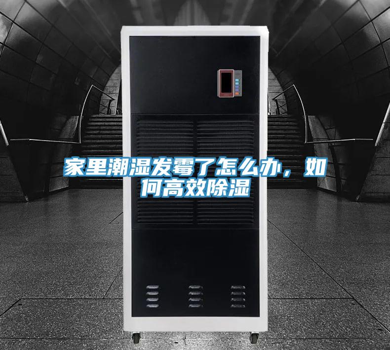 家里潮湿发霉了怎么办，如何高效除湿