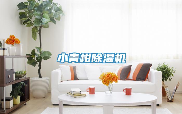 小青柑抖音成人版下载