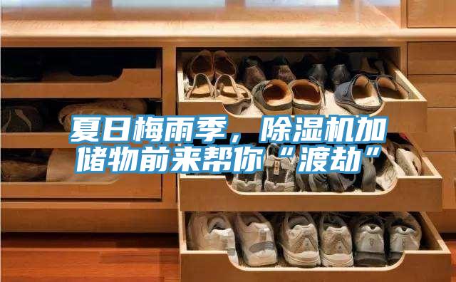 夏日梅雨季，抖音成人版下载加储物前来帮你“渡劫”