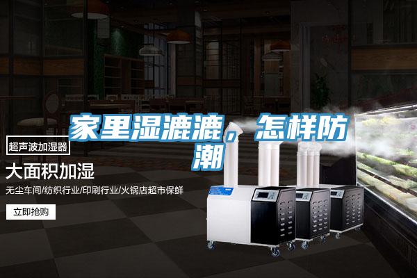 家里湿漉漉，怎样防潮