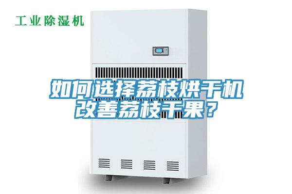 如何选择荔枝烘干机改善荔枝干果？