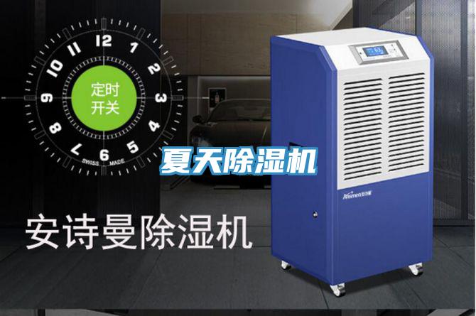 夏天抖音成人版下载