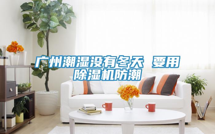 广州潮湿没有冬天 要用抖音成人版下载防潮