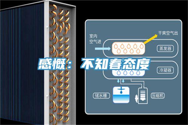 感慨：不知春态度