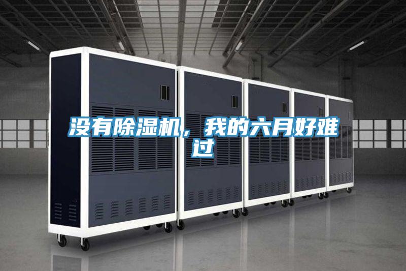 没有抖音成人版下载，我的六月好难过