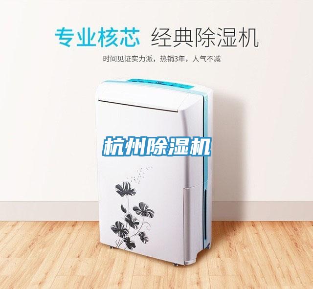 杭州抖音成人版下载