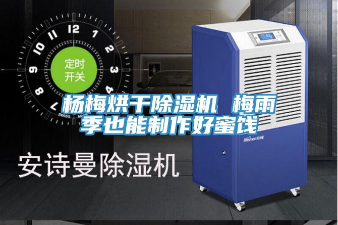 杨梅烘干抖音成人版下载 梅雨季也能制作好蜜饯