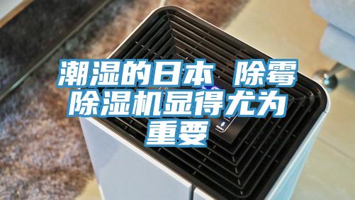 潮湿的日本 除霉抖音成人版下载显得尤为重要