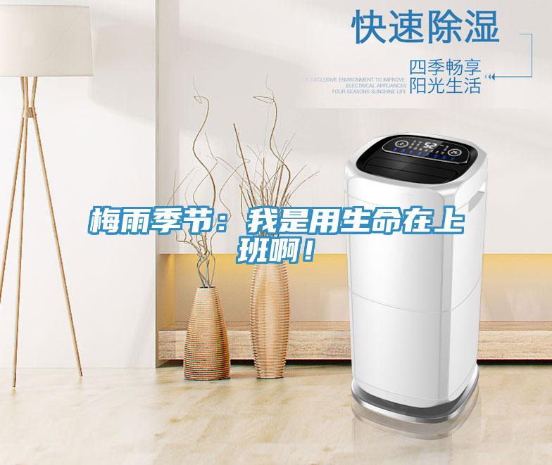 梅雨季节：我是用生命在上班啊！