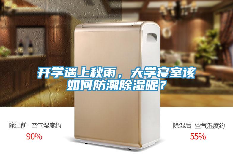 开学遇上秋雨，大学寝室该如何防潮除湿呢？