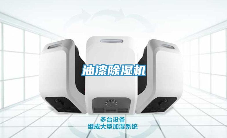 油漆抖音成人版下载