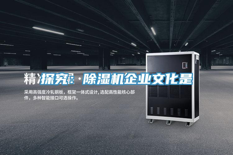 探究：抖音成人版下载企业文化是