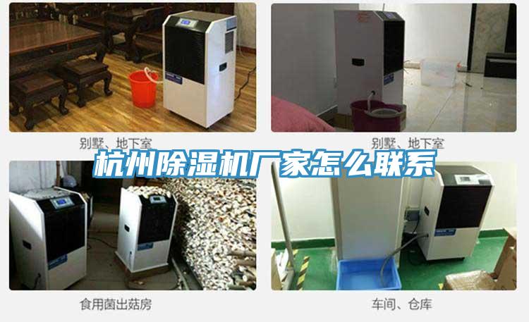 杭州抖音成人版下载厂家怎么联系