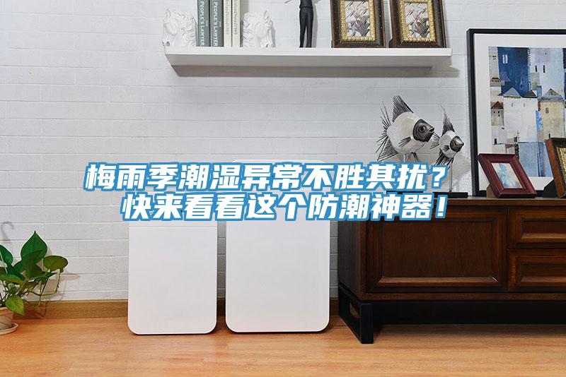 梅雨季潮湿异常不胜其扰？ 快来看看这个防潮神器！